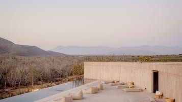 Outdoor pool, sun loungers
