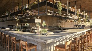 A spacious bar area with a long counter, multiple wooden stools, and shelves with plants and kitchen items.