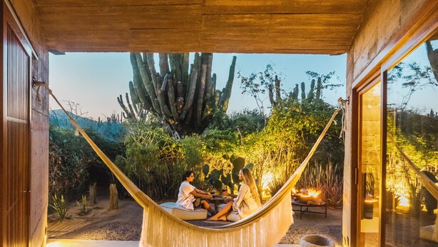 A hammock in a room with a view of cacti and desert plants.