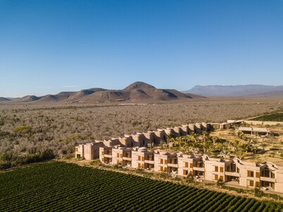 Paradero Todos Santos - Exclusive Experiences