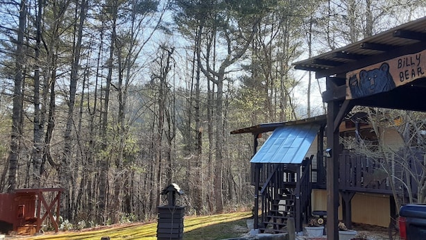 Una cabaña llamada 'Billy Bear Cabin' con una estructura de madera rústica, rodeada por un bosque.
