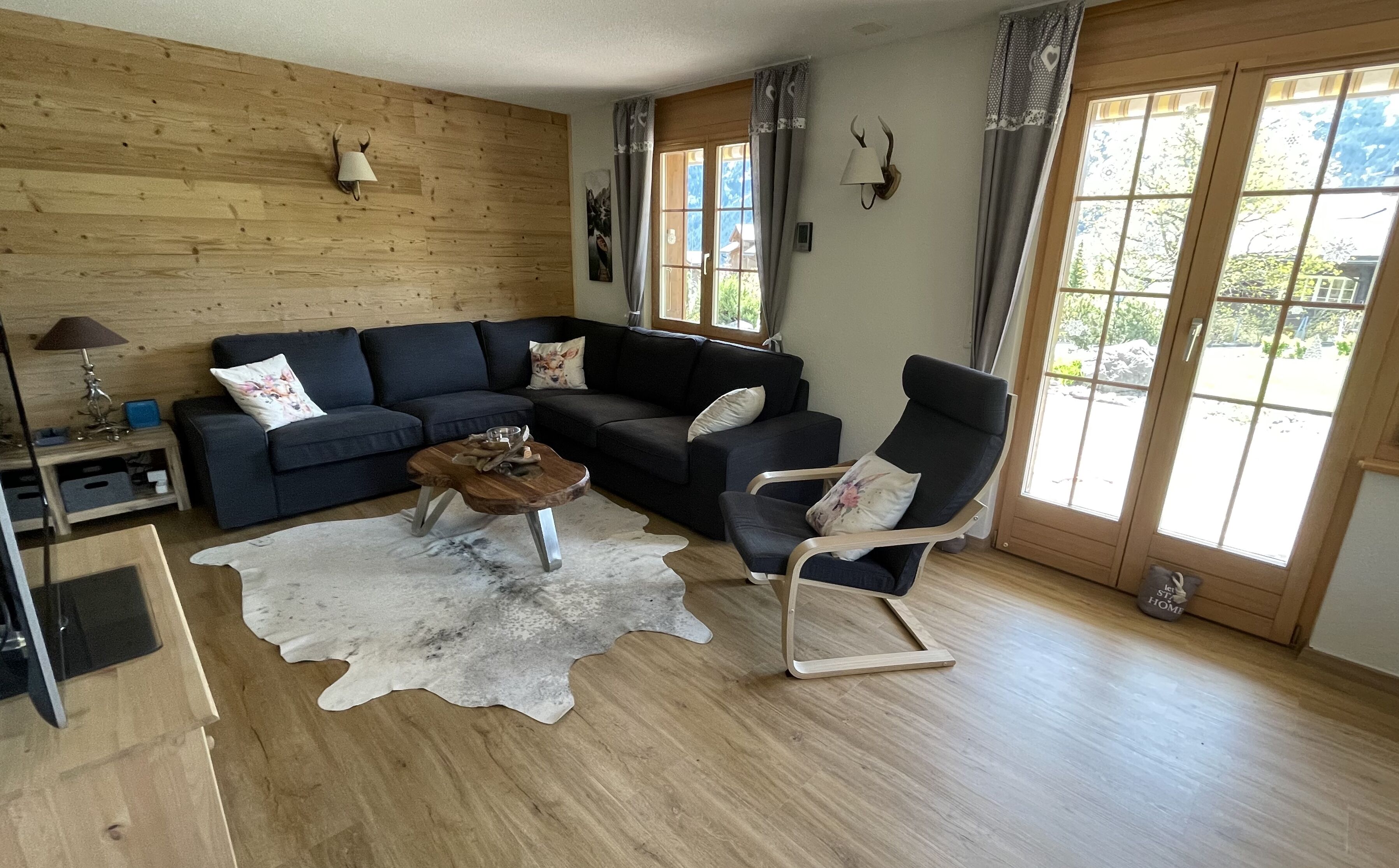 TV, DVD player, books, video library