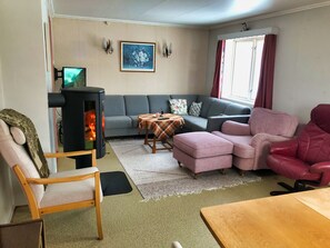 TV, fireplace, books