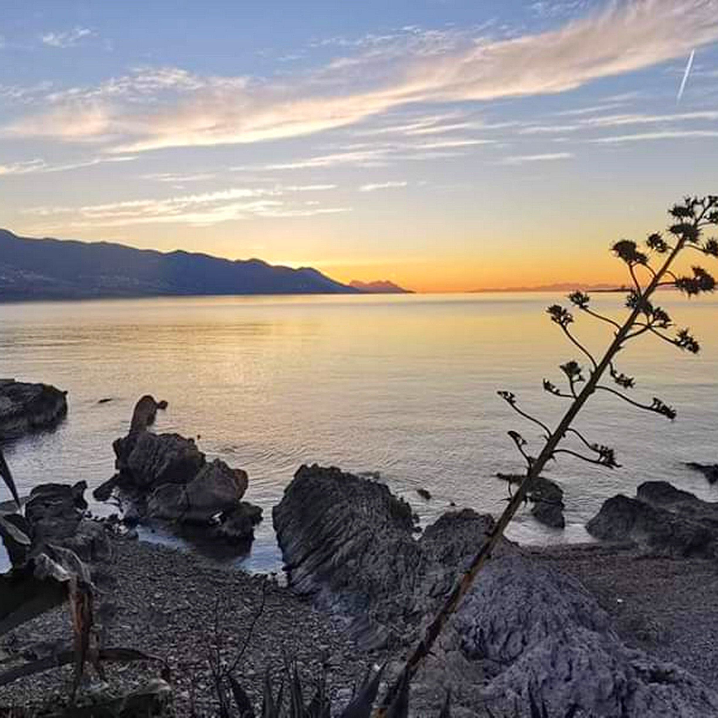 Un paisaje costero con afloramientos rocosos y cielo despejado.
