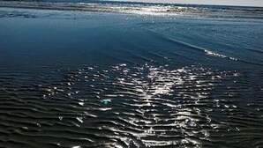 A beach with sunlight reflecting on the water. - Charming Beach Escape! Steps from the Beach (Hilton Head Island)