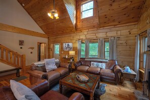 TV, fireplace, books