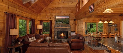 Televisión, chimenea y libros