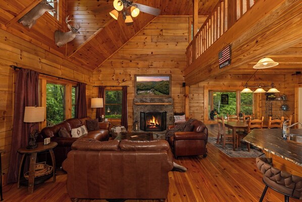 TV, fireplace, books - Mountain Cabin, Great Decks, WiFi, Pool Table, Ping Pong Table, & Foosball (Ferguson)