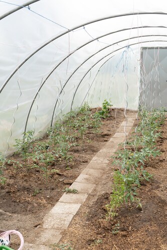 Urlaub auf dem Eldehof