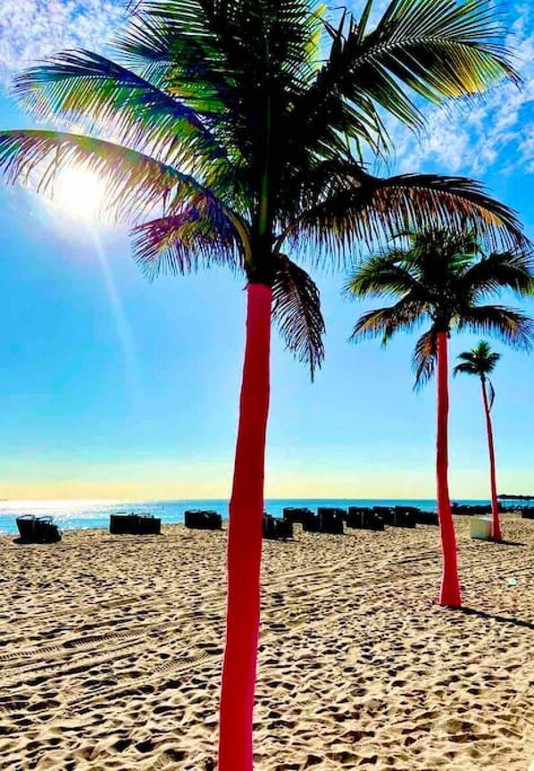 Beach nearby - Efficiency 3 on water las olas/beach free kayaks. (Fort Lauderdale)