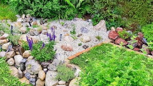 Un jardín con diversas plantas y rocas.