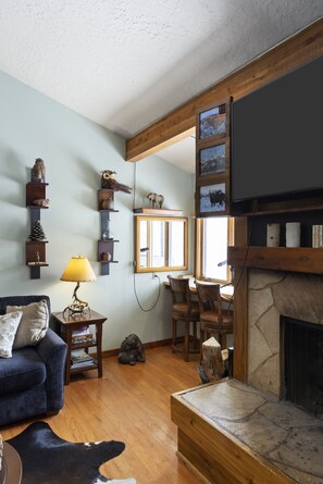 Smart-TV, Kamin