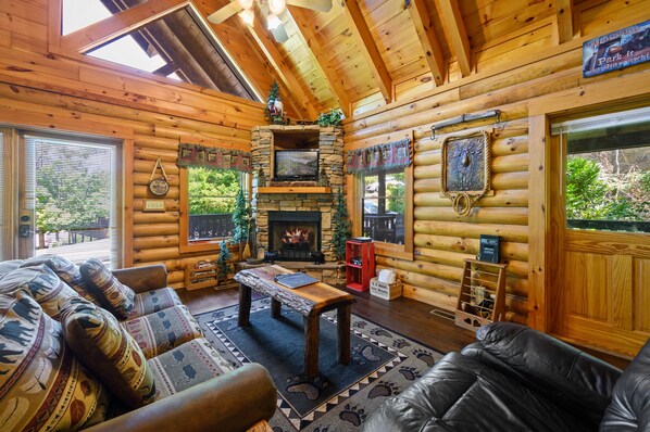 Smart-tv, pejs, videospil, dvd-afspiller