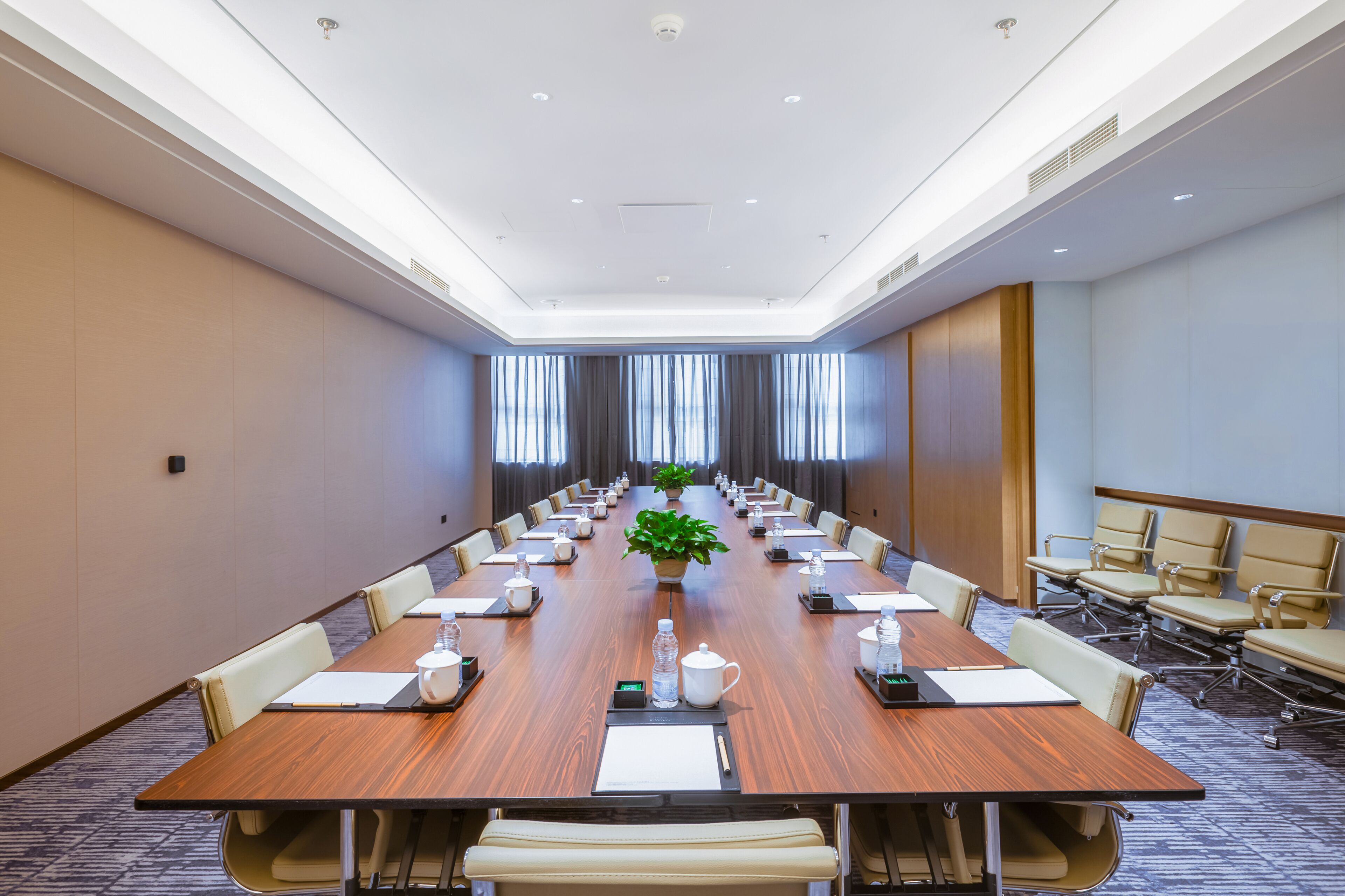 A conference room with a long table, chairs, and a potted plant.
