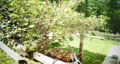 House in the Forest Purple (CITRA Code 009063-LT-0016)