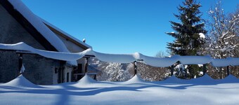 House in the Forest Purple (CITRA Code 009063-LT-0016)