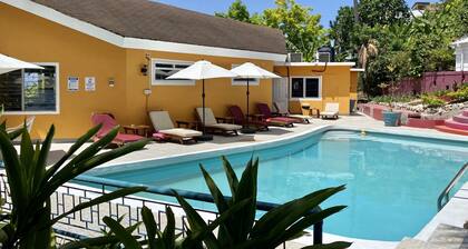 Tropical Garden at The Blue Orchid with Pool