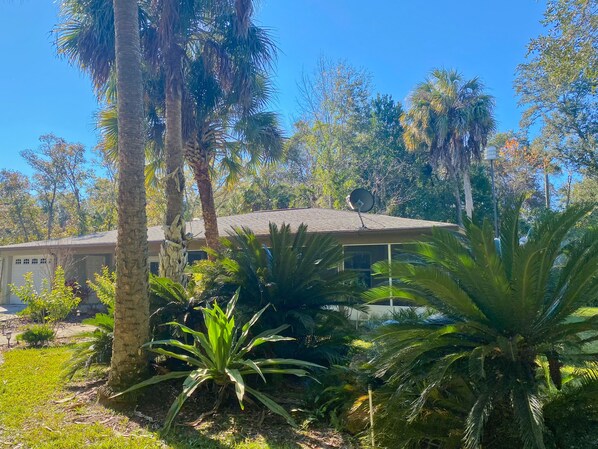 A house surrounded by lush greenery, including palm trees and various plants.