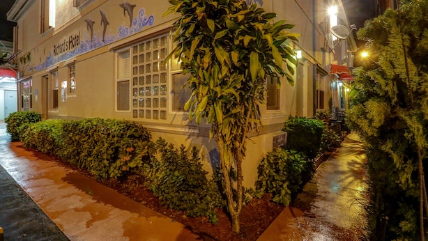 Un edificio con un cartel que dice “Richard's Hotel” y una planta grande en la entrada.