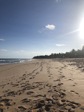 Perto da praia, espreguiçadeiras 