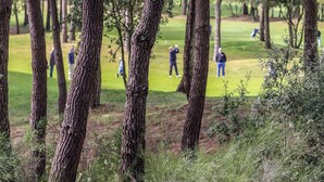 A forested area with tall trees and a golf course in the background. - Villa for 6 people 300m from the beaches for 6 people (La Palmyre)