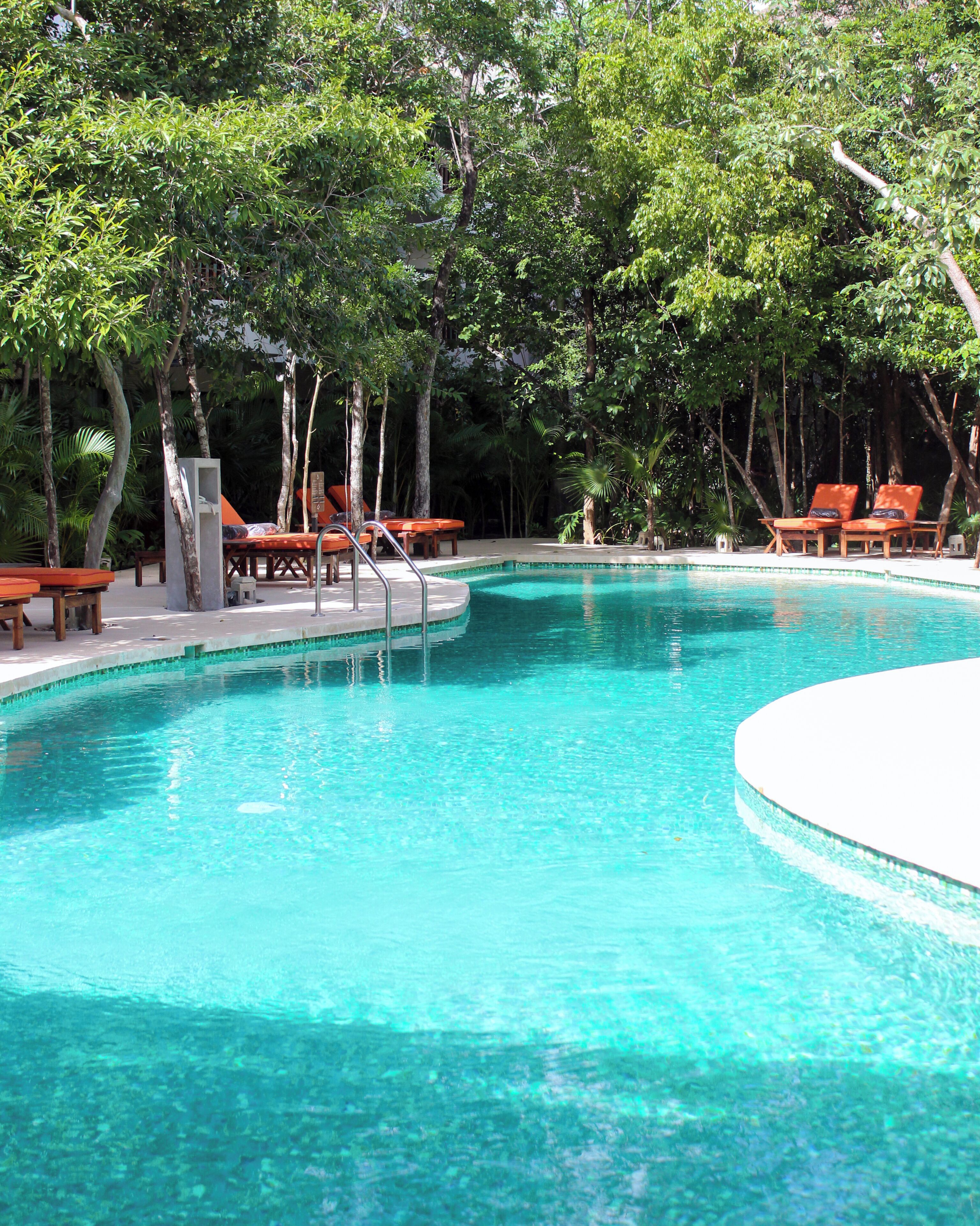 A clear swimming pool surrounded by trees and wooden lounge chairs.