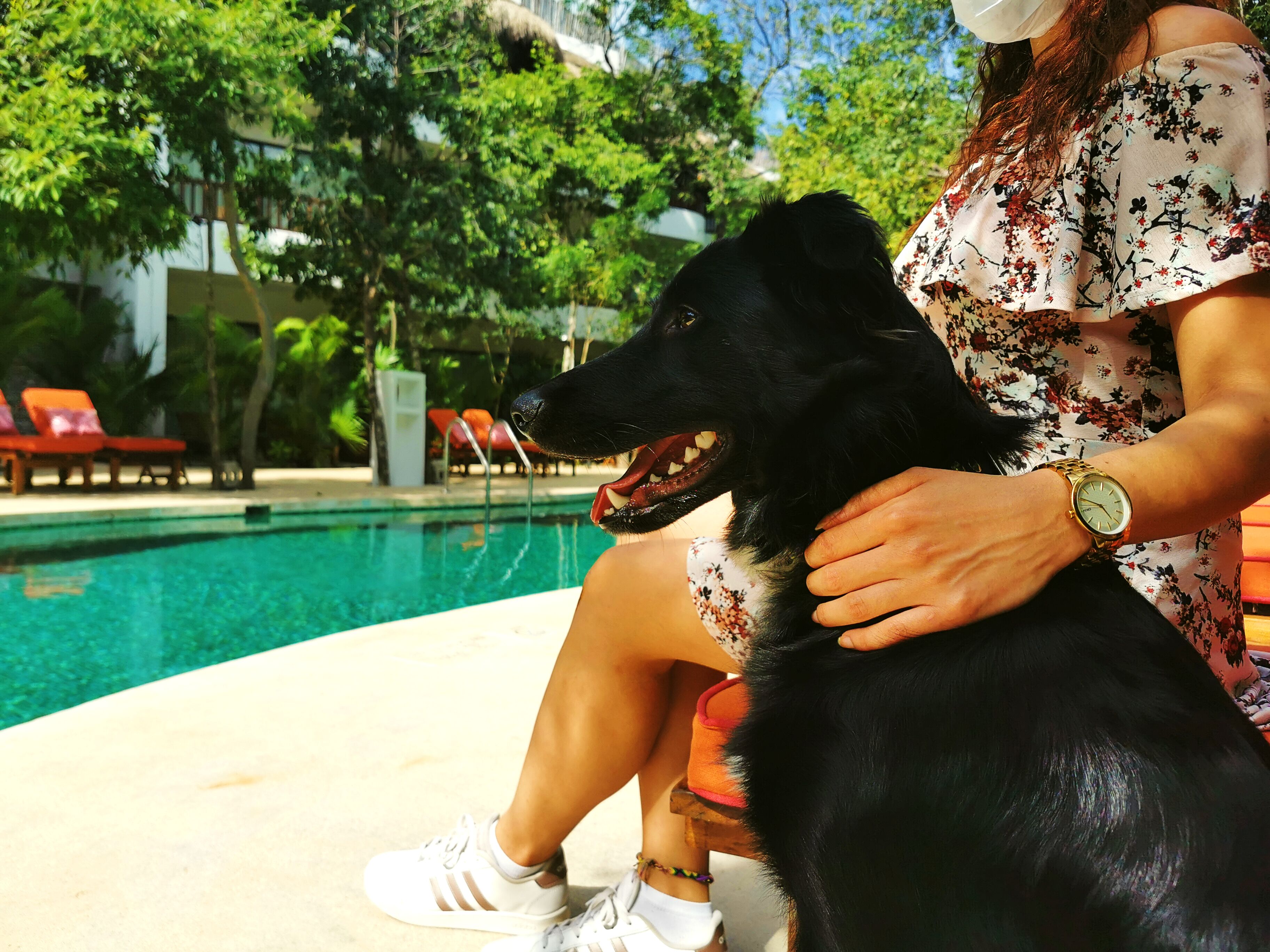 A person sitting by a pool with a black dog, wearing a floral dress and white sneakers.