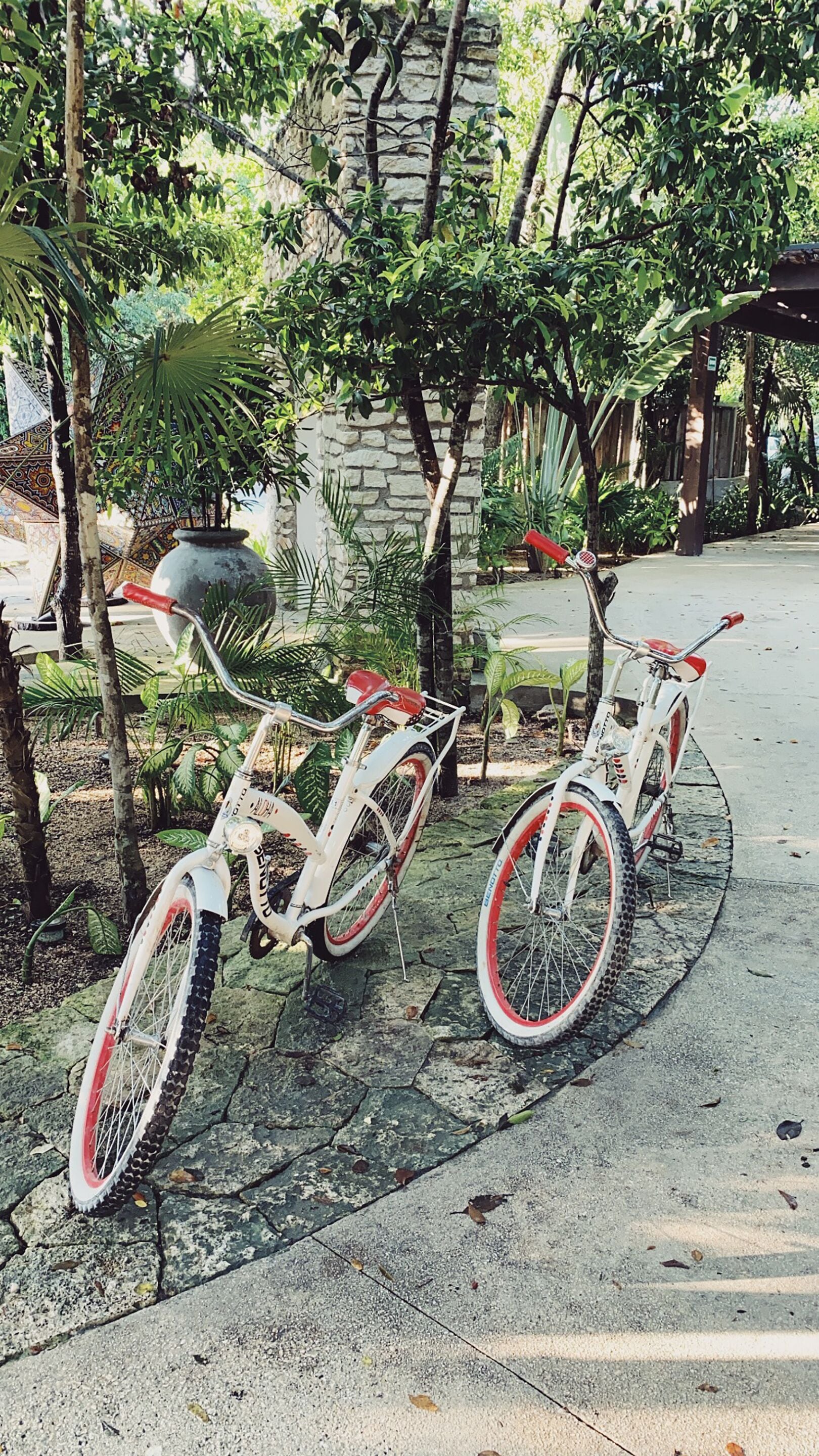 Foto - Aluna Resort Tulum