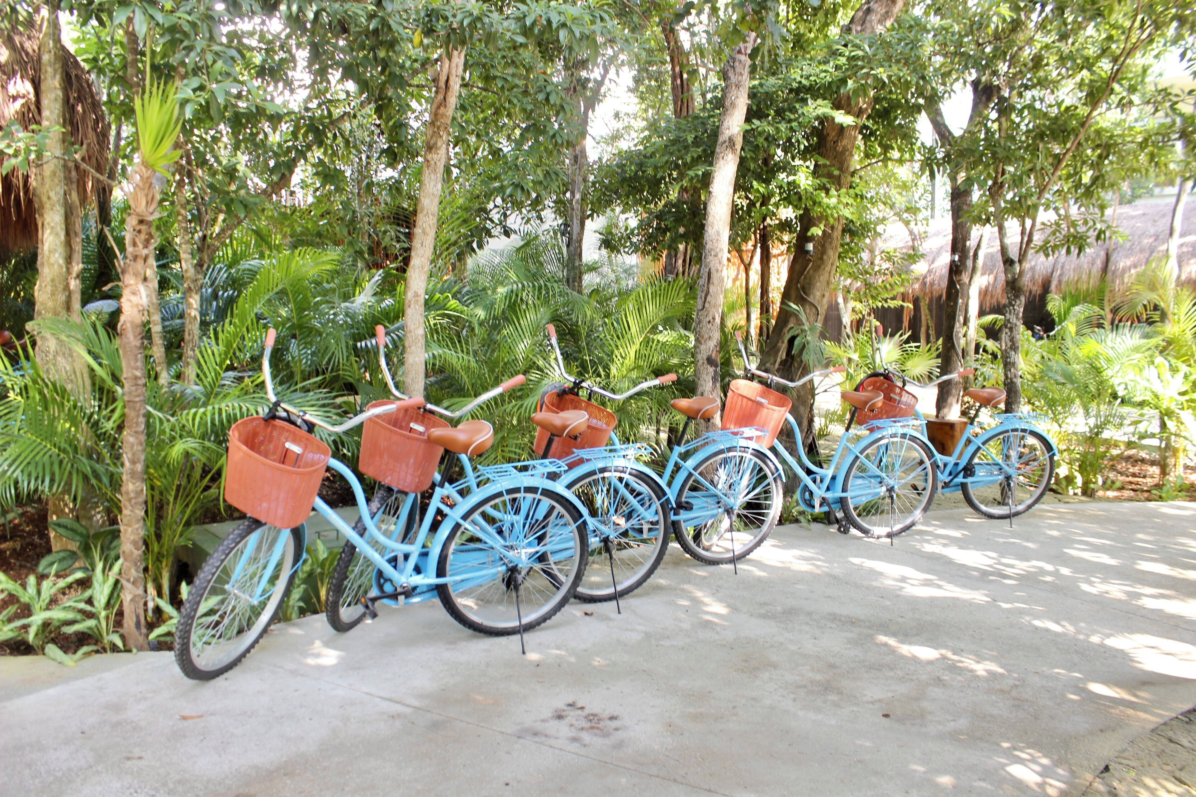 Foto - Aluna Resort Tulum