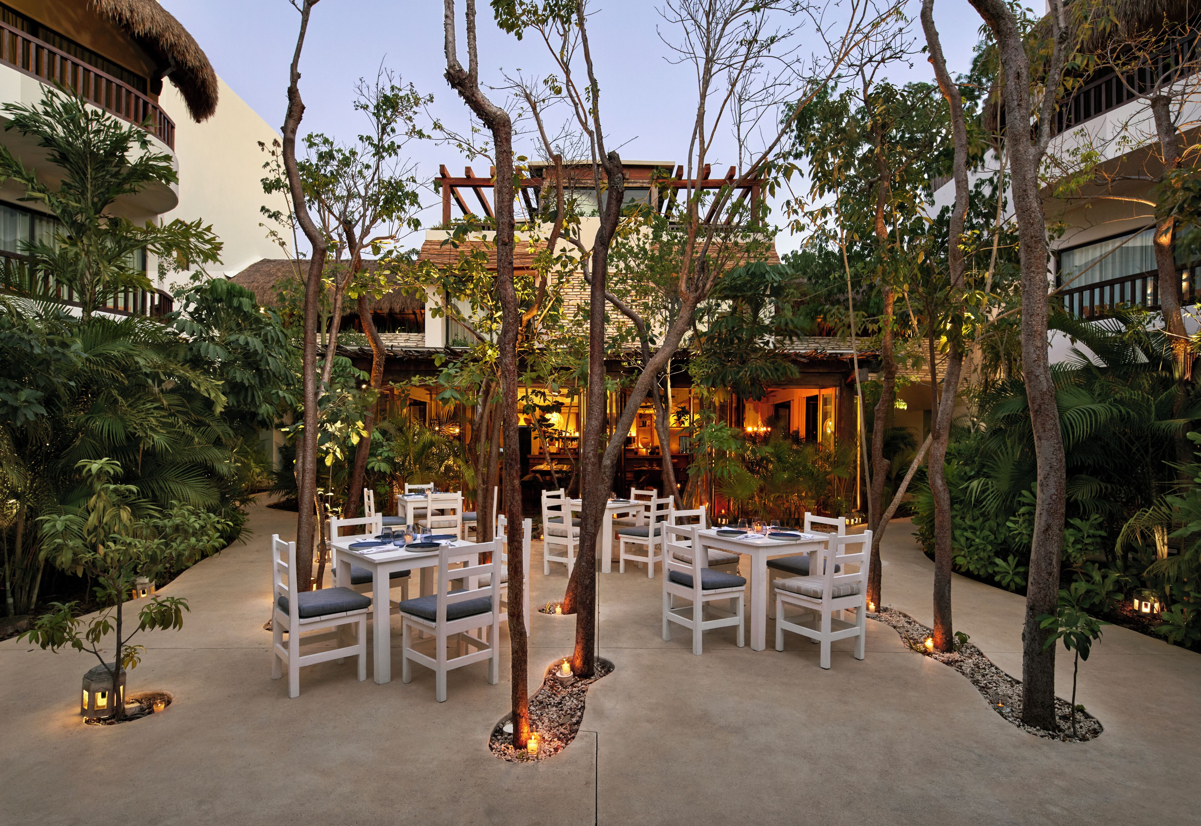 An outdoor dining area with white tables and chairs, surrounded by trees and plants, with a building in the background.
