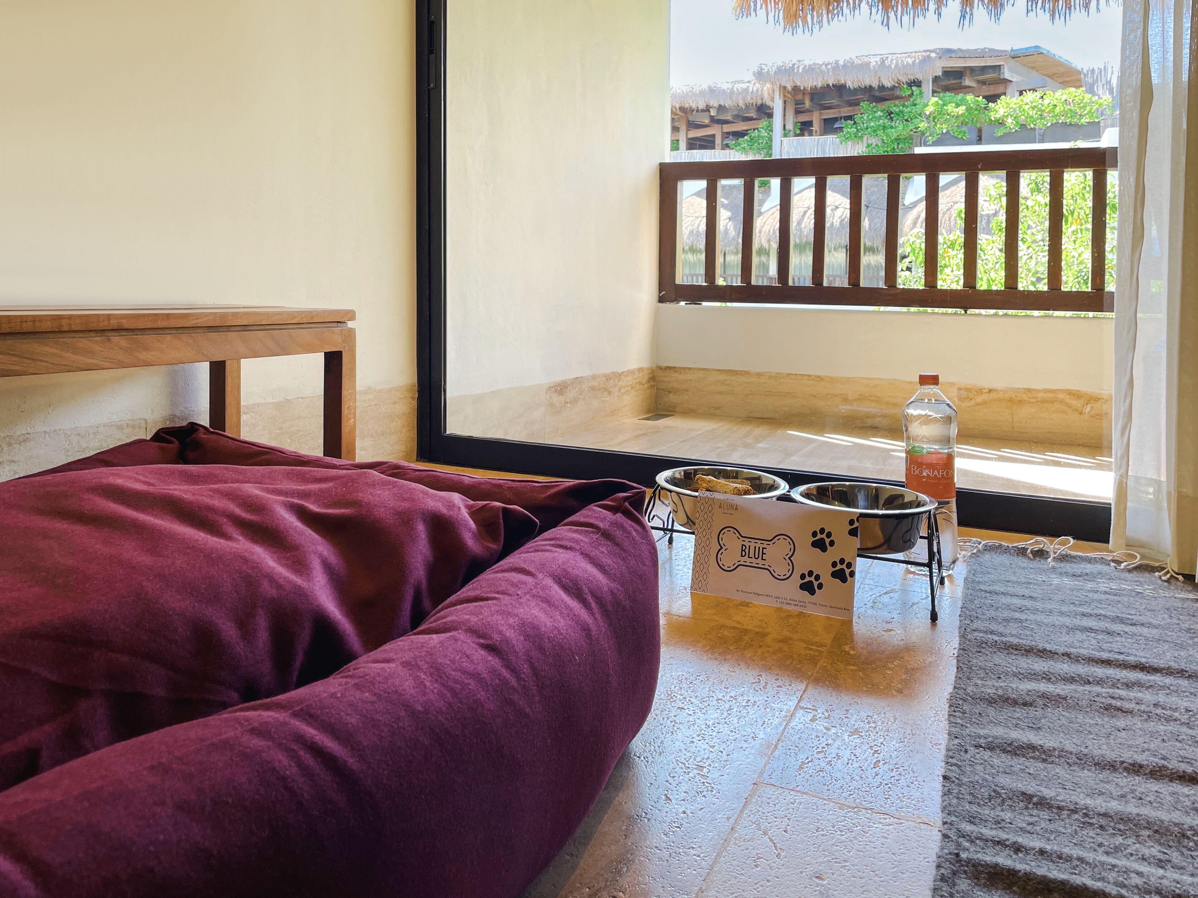 pet-friendly amenities