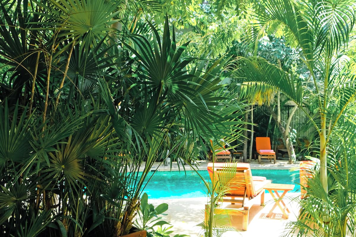 Ropa de cama de alta calidad y edredón