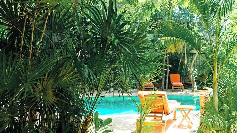 Aluna Resort Tulum