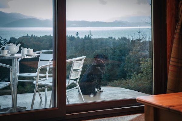 View from living room