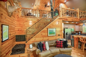 TV, fireplace, DVD player, books