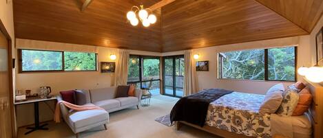 TV connectée, cheminée, livres