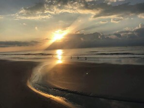 Playa en los alrededores 