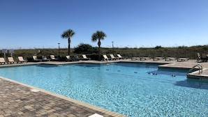 A swimming pool with lounge chairs and palm trees.