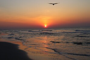 Beach nearby