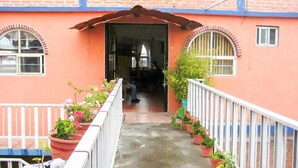 A corridor with potted plants on both sides, leading to a building entrance.