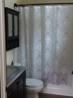 Combined shower/bathtub, hair dryer, towels, toilet paper