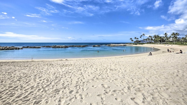 Una playa con agua azul cristalina, orilla arenosa y palmeras.