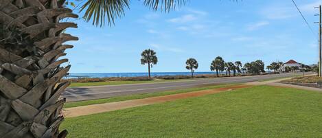 A coastal road with a grassy median, palm trees, and a clear blue sky.