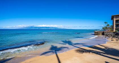 Radiant Oceanfront 3bd condo with stunning views