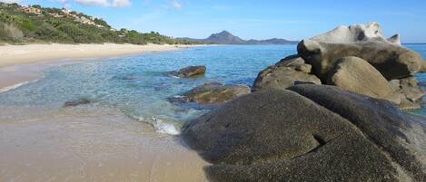 بالقرب من الشاطئ