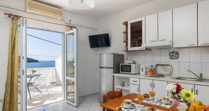 House Rasica