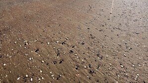 靠近海滩