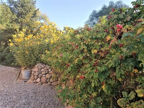 Property grounds - Nr. 1 Fewo mit Kamin und Terrasse - Ferienwohnungen Alter Bahnhof mit Terrasse und Garten OFC 06 (Rerik)