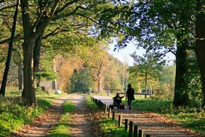 Unclassified image, 4 of 24, button