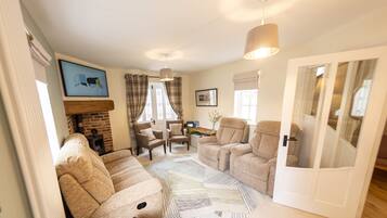 TV connectée, cheminée, jeux vidéo, livres